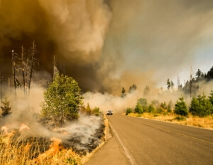 Insurance Coverage for Natural Disasters in Minnesota