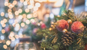 Holiday Safety Tips Variant Insurance Group in Maple Plain, Minnesota