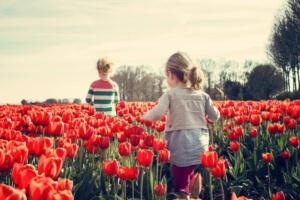 Spring Activities to Consider in Maple Plain, Minnesota