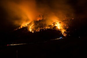 How to do your part to reduce wildfires this summer