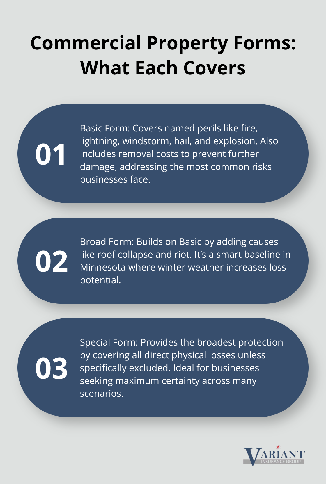 Comparison of Basic, Broad, and Special property insurance forms for Minnesota businesses
